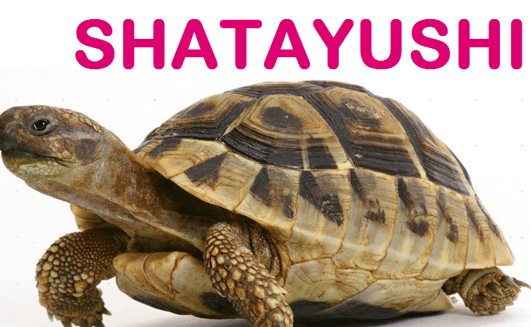 Shatayushi Healthcare Pvt Ltd