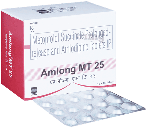 Amlong MT 25