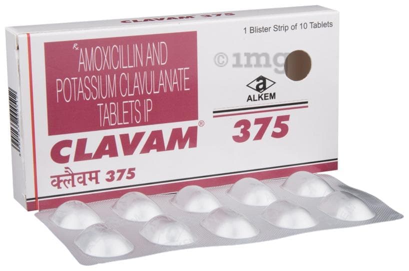 CLAVAM 375